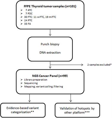 Amplicon-Based NGS Panels for Actionable Cancer Target Identification in Follicular Cell-Derived Thyroid Neoplasia